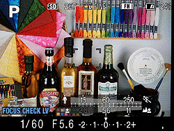 Sony Alpha DSLR-A580 Live View image 38