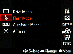Sony Alpha DSLR-A580 Flash image 2