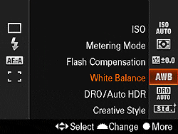 Sony Alpha DSLR-A580 Exposure image 4