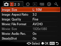 Sony Alpha DSLR-A580 Menus image 11