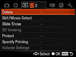 Sony Alpha DSLR-A580 Menus image 16