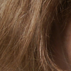 Subtle detail: Hair Noise suppression tends to blur detail in areas of subtle contrast, as in