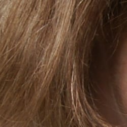 Subtle detail: Hair Noise suppression tends to blur detail in areas of subtle contrast, as in