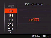Sony Alpha DSLR-A700 Exposure image 3