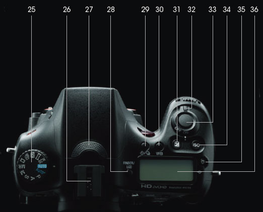 Sony Alpha SLT-A77 Design image 3