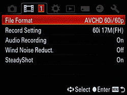 Sony Alpha SLT-A77 Overview image 40