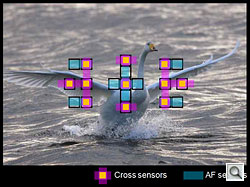 Sony Alpha SLT-A77 Overview image 30