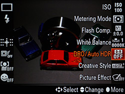 Sony Alpha SLT-A77 Exposure image 6