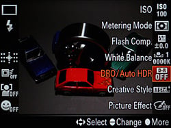 Sony Alpha SLT-A77 Exposure image 6
