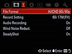 Sony Alpha SLT-A77 Video image 3