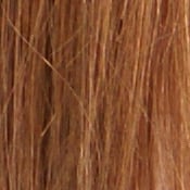 ISO 200