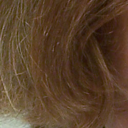 Subtle detail: Hair Noise suppression tends to blur detail in areas of subtle contrast, as in