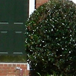 Moderate definition of high-contrast elements, though with jagged edges and noticeable noise.