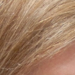 Subtle detail: Hair Noise suppression tends to blur detail in areas of subtle contrast. At ISO