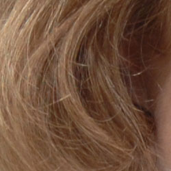 Subtle detail: Hair Noise suppression tends to blur detail in areas of subtle contrast, as in