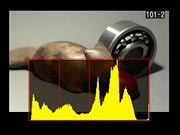 D2Xs Viewfinder image 6