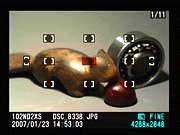 D2Xs Viewfinder image 12