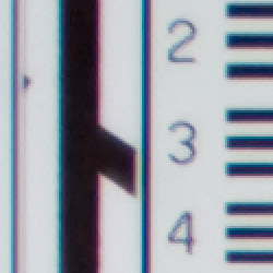 Crop from RAW file (200%)