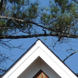 Excellent detail overall, only very slight evidence of edge enhancement visible.