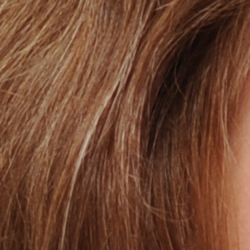 Subtle detail: Hair Noise suppression tends to blur detail in areas of subtle contrast, as in