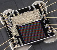 D3 Exposure image 1