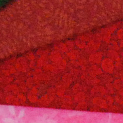 D3100 Overview image 22