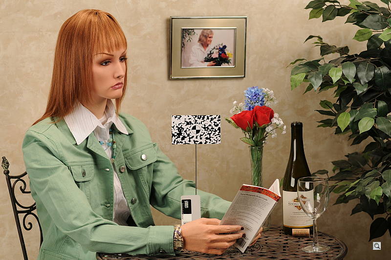 Click to see D300SINBTP1.JPG