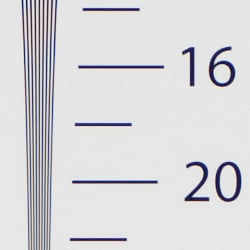Strong detail to 1,750 lines horizontal ACRprocessed RAW