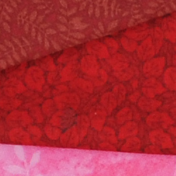 100% crop from Nikon D300S test image taken at ISO 200