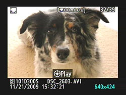 D300S Operation image 17