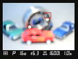 D300S Live View image 6