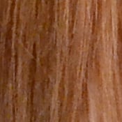 D3100 Imaging image 30