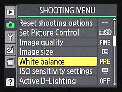 D3100 Exposure image 6