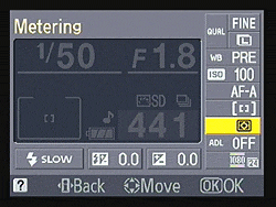 D3100 Exposure image 2