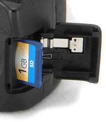 D3100 Overview image 5