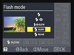 D3100 Flash image 2