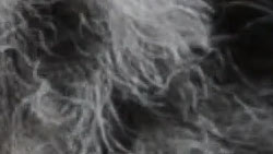 D3100 Video image 26