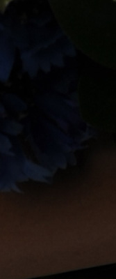 D3S Imaging image 49