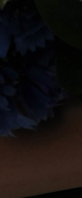 D3S Imaging image 50