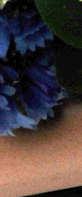 D3S Imaging image 68