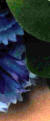 D3X Imaging image 61