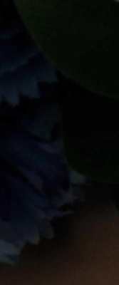 D3X Imaging image 59