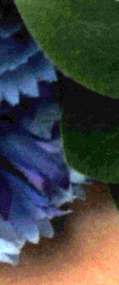 D3X Imaging image 60