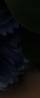 D3X Imaging image 58