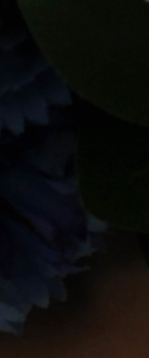 D3X Imaging image 47