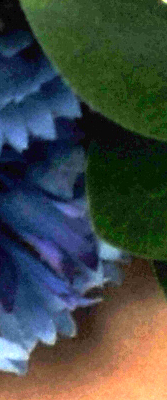 D3X Imaging image 51