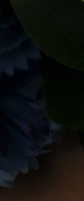 D3X Imaging image 48