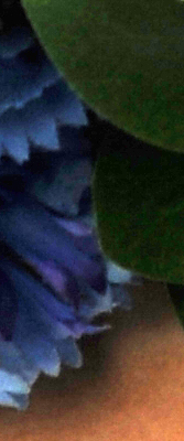 D3X Imaging image 49