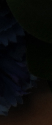 D3X Imaging image 46