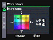 D3X Exposure image 11